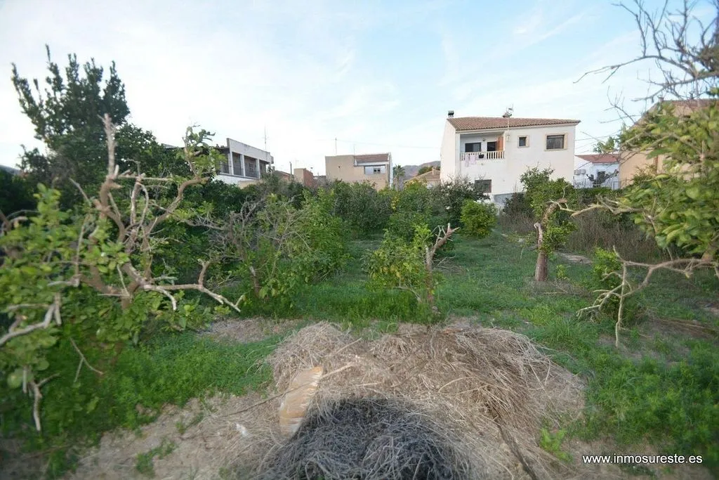 Jardin - Chalet with Terrace in Orihuela