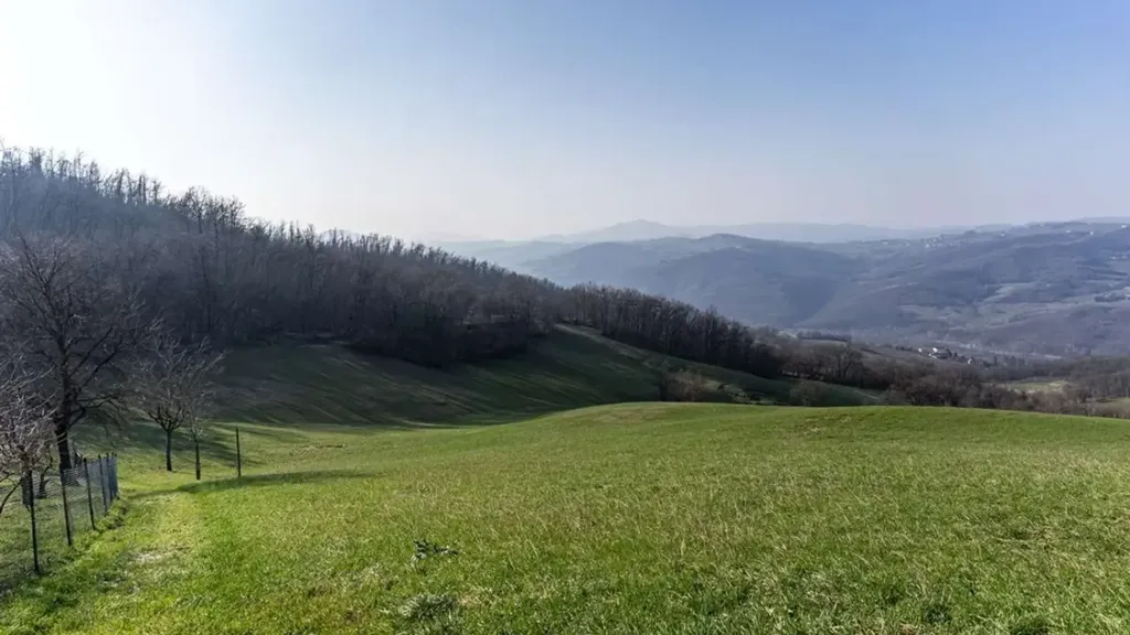 Giardino - Rustic House with Orchard in Canossa