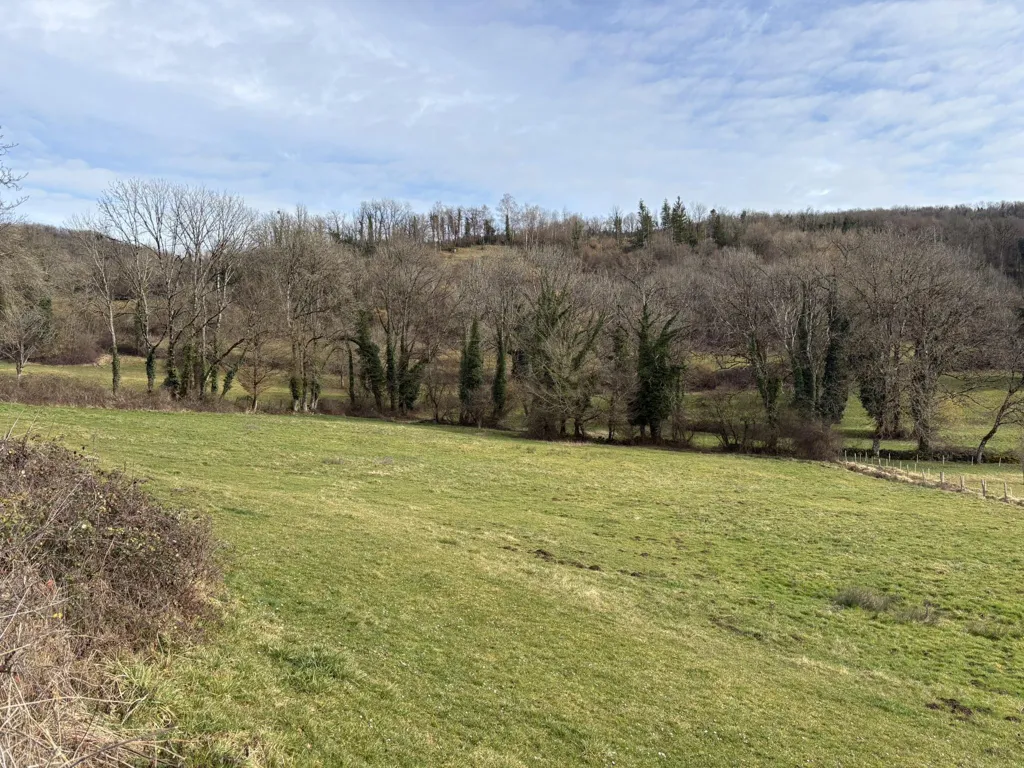 Jardin - Terrain Constructible avec Parcelle Agricole à Cornod