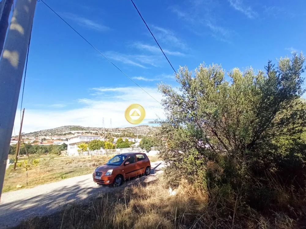 Aed - Agricultural Plot with Olive Potential in Ano Liosia