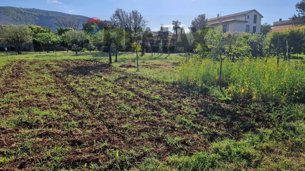 Giardino - Rustic Villa with Garden in Monticelli, Esperia