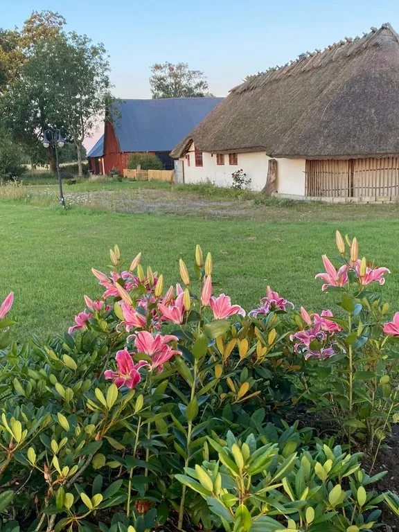 Välivaade - Historic Cross-Vaulted Farmhouse with Restaurant in Halland