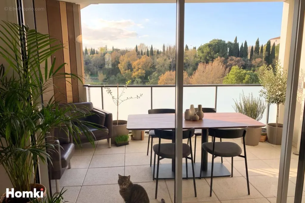 Terrasse - Appartement T3 avec Terrasse à Montpellier