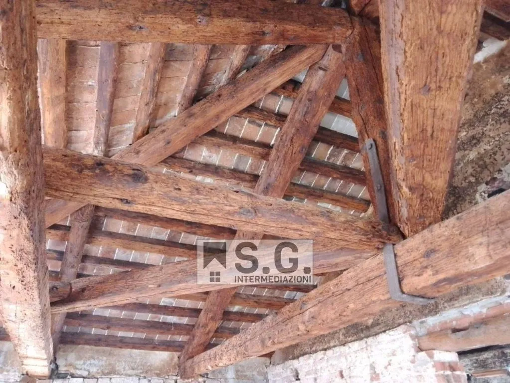 Toad - Luxury Villa with Private Garden in Mirano