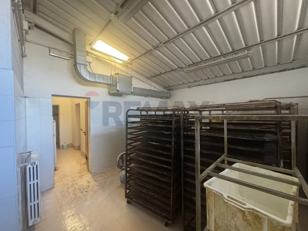 Pesuköök - Commercial Lab with Open Plan in Magenta