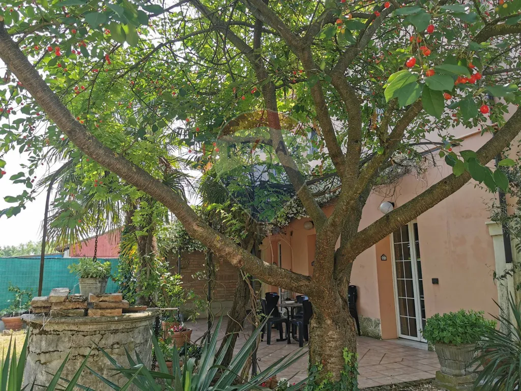Aed - Independent Villa with Garden in Cento