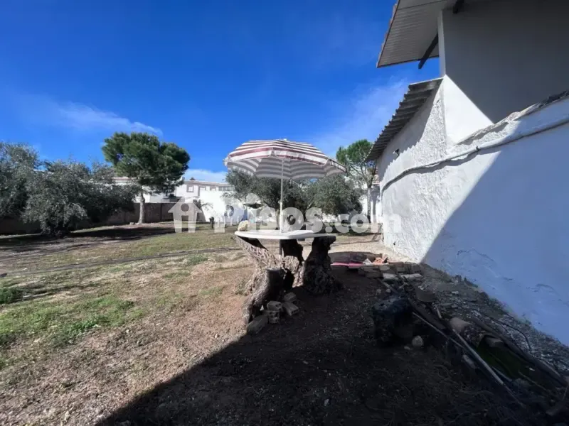 Garden - Rustic House with Garden in La Atalaya