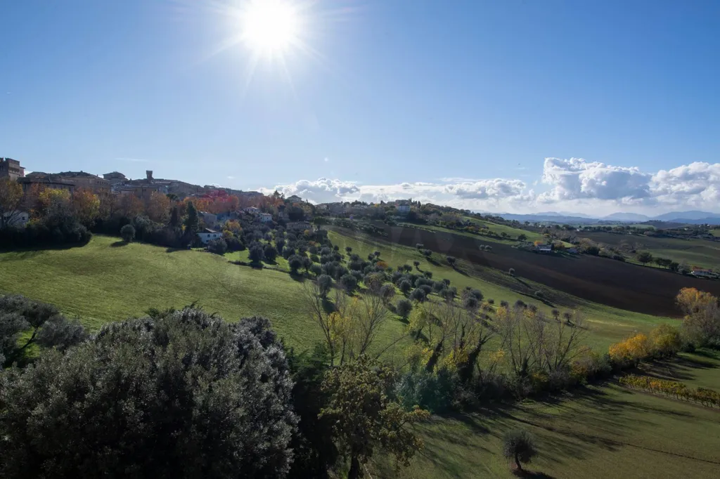 Penthouse with Panoramic Terraces near Ostra Centre
