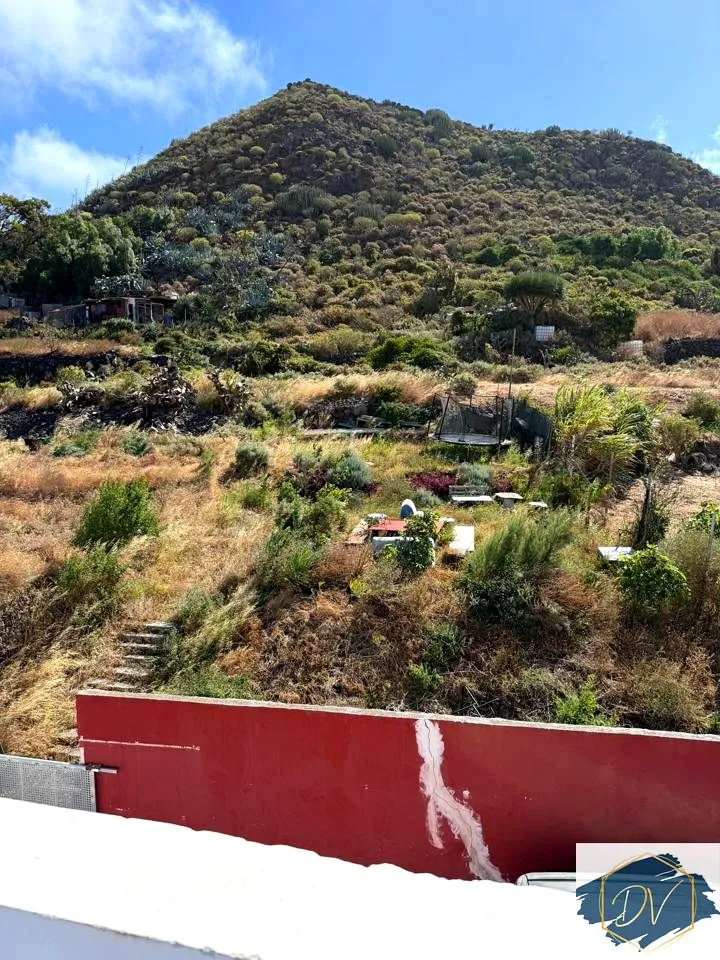 Garden - Terrace Flat with Rooftop in La Laguna