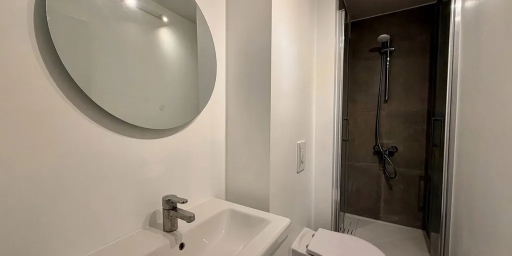 Bathrooms - Renovated Studio in Central Leuven