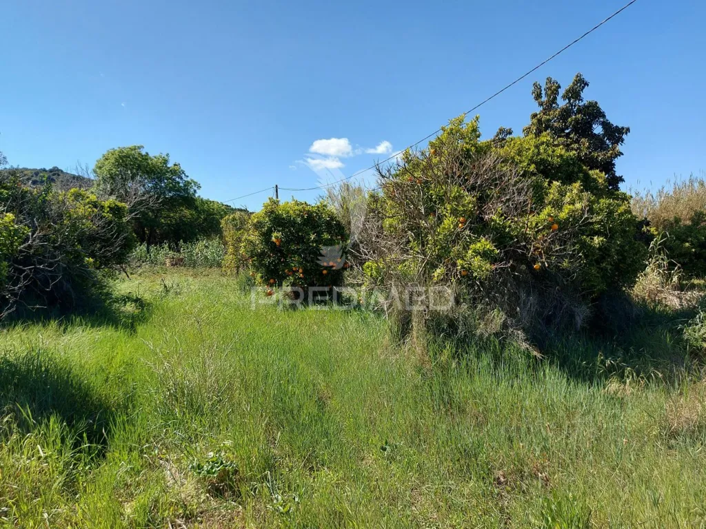Garden - Agricultural Land with Water Source in Silves