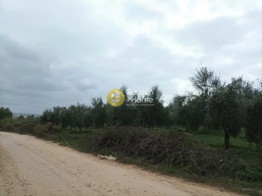 Aed - Buildable Plot with Sea View in Aprovouna, Chania