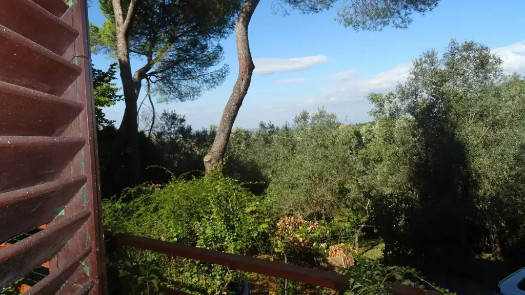 Giardino - Villa panoramica con giardino a Montespertoli