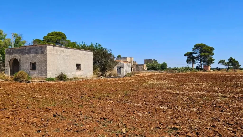 Extérieur - Rustic Property with Olive Trees in Nardò