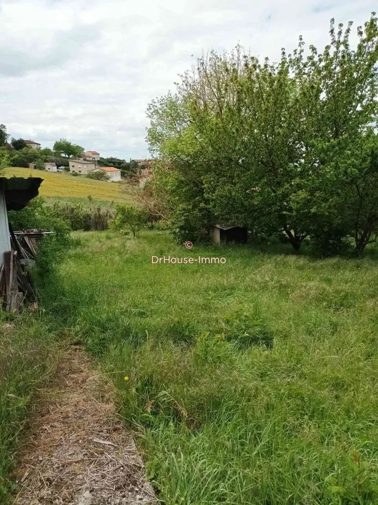 Jardin - Maison avec Annexe et Jardin à Verfeil