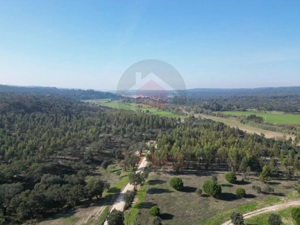 Aerial - Luxury House with Pool in Almeirim