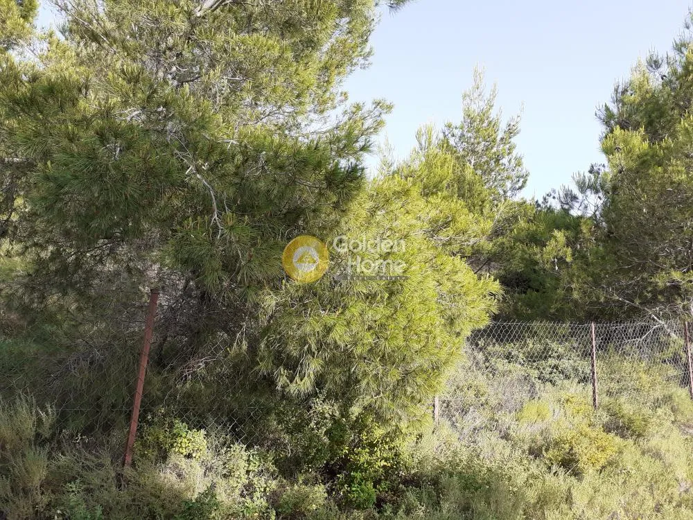Aed - Plot with Mountain View in Ano Liosia