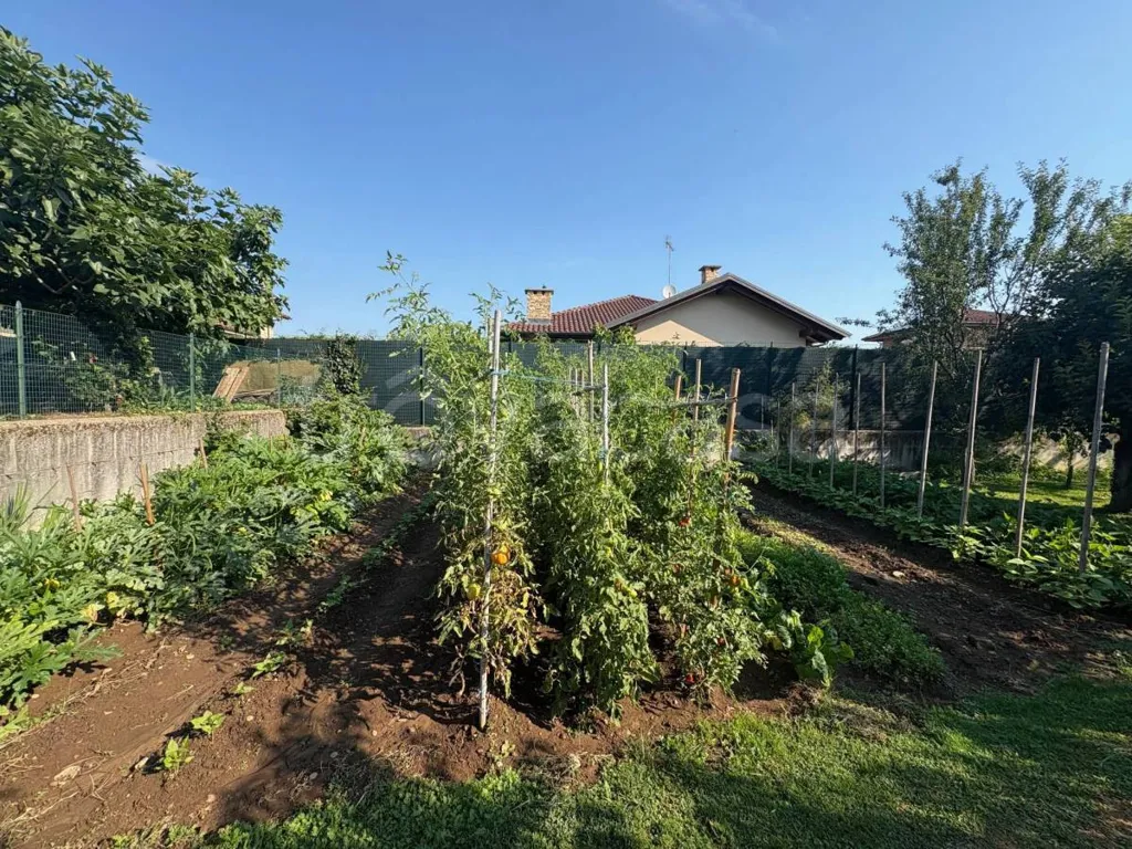 Jardin - Bifamiliar Villa with Commercial Space in Fossano