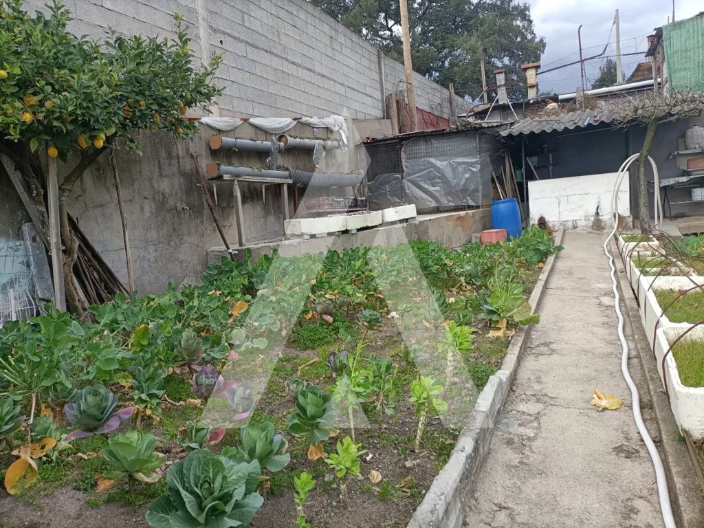 Jardin - T3 House with Garden in Penafiel