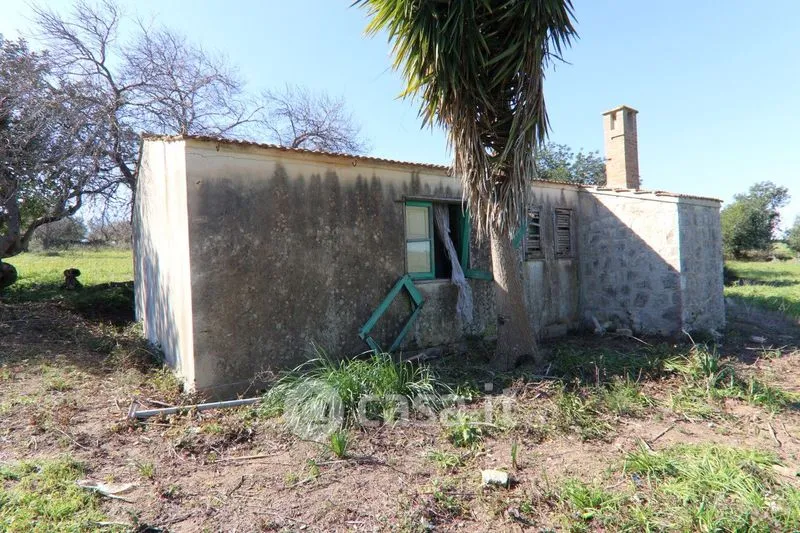 Extérieur - Rustic Casale with Large Land in Ispica
