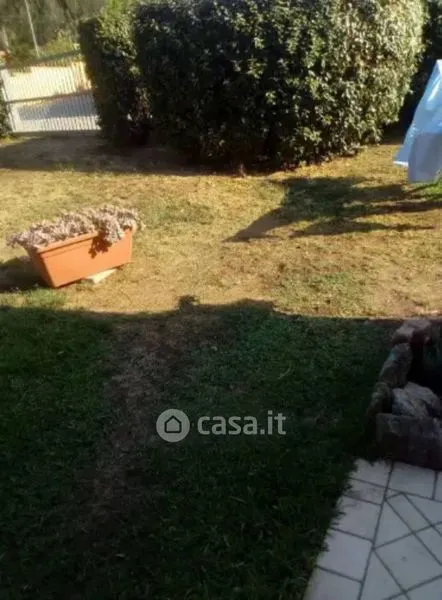 Garden - Villa with Sea View in San Teodoro