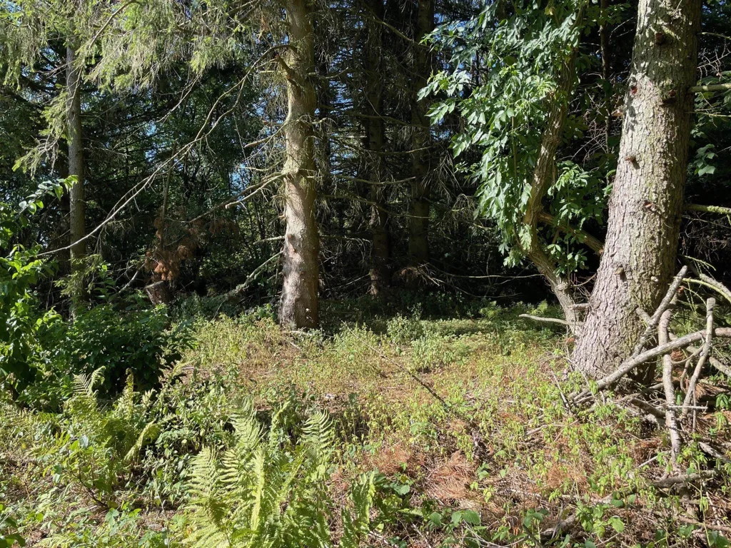 Terrain à Glesborg