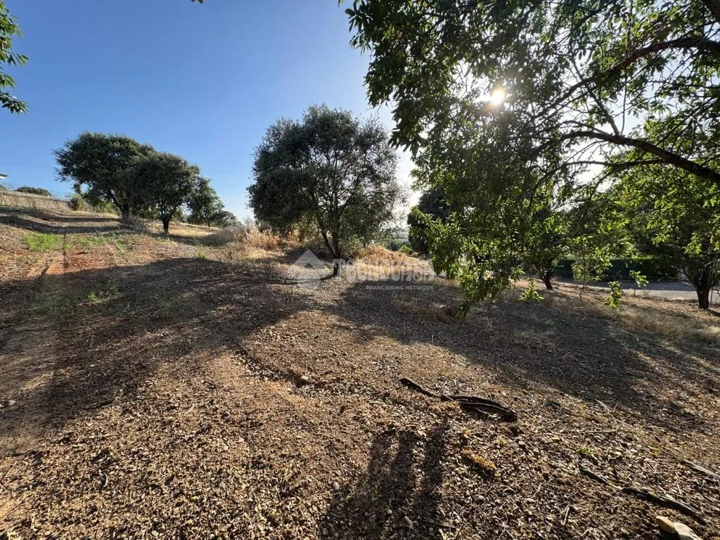 Aed - Rustic Land with Potential in Badajoz