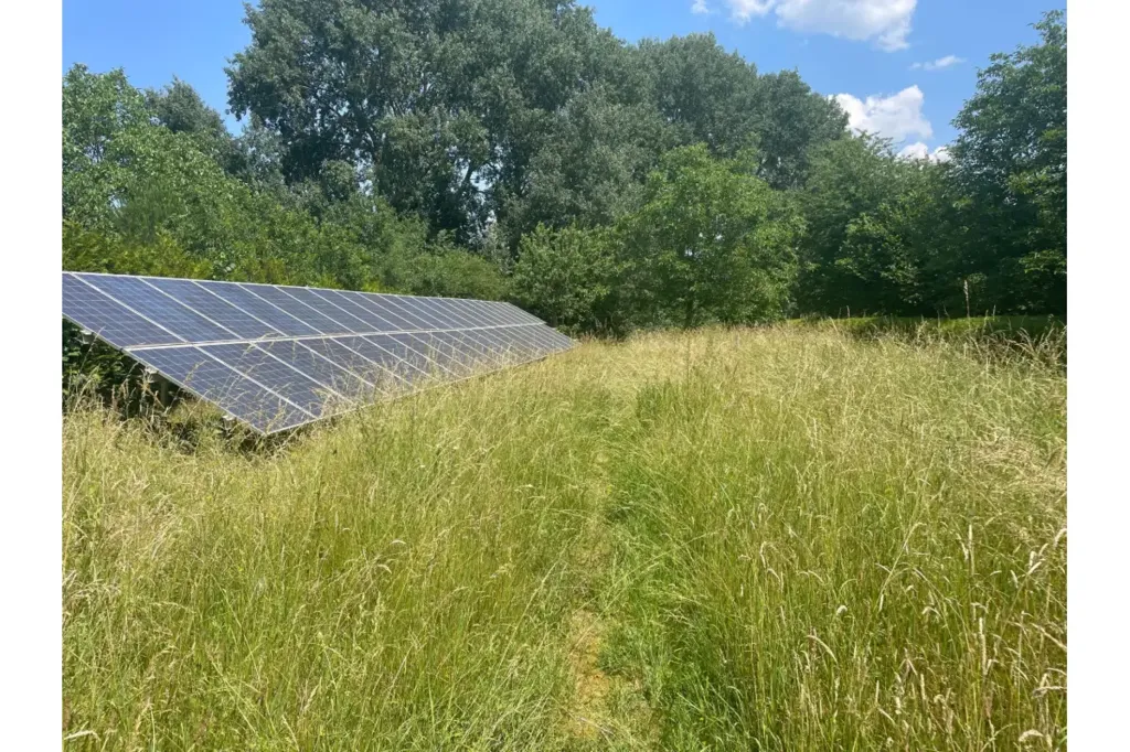 Giardino - Detached House with Solar Panels in Mariembourg