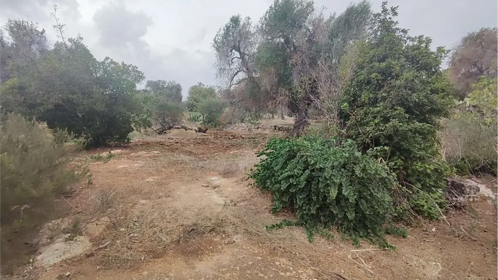 Jardin - Bilocale with Olive Grove in Carovigno