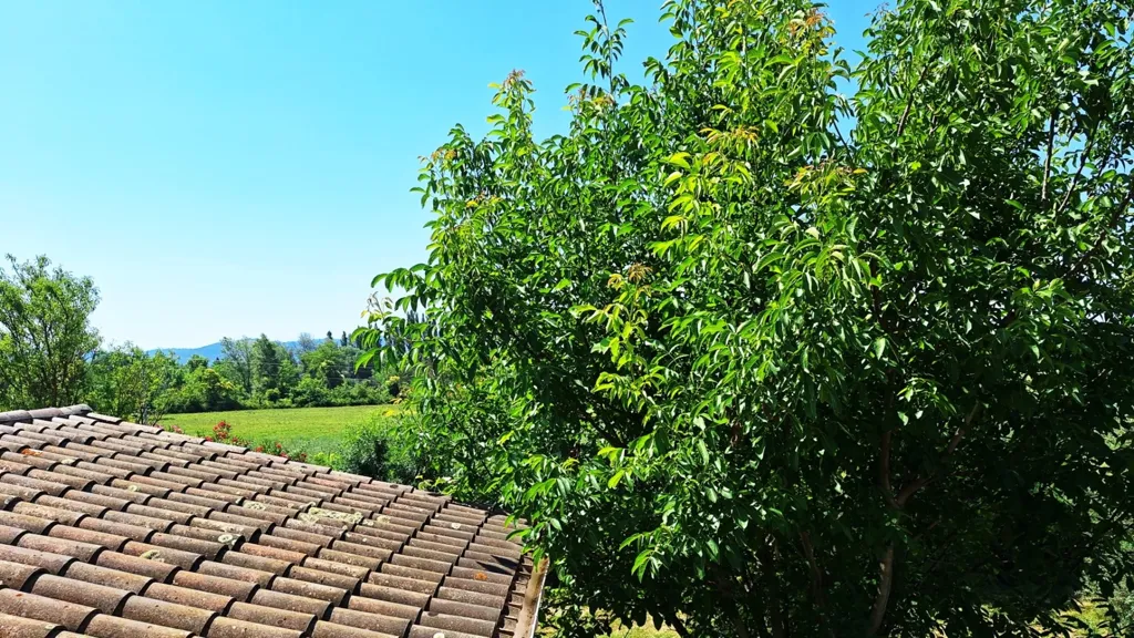 Jardin - Maison avec terrasse et jardin à Lauris