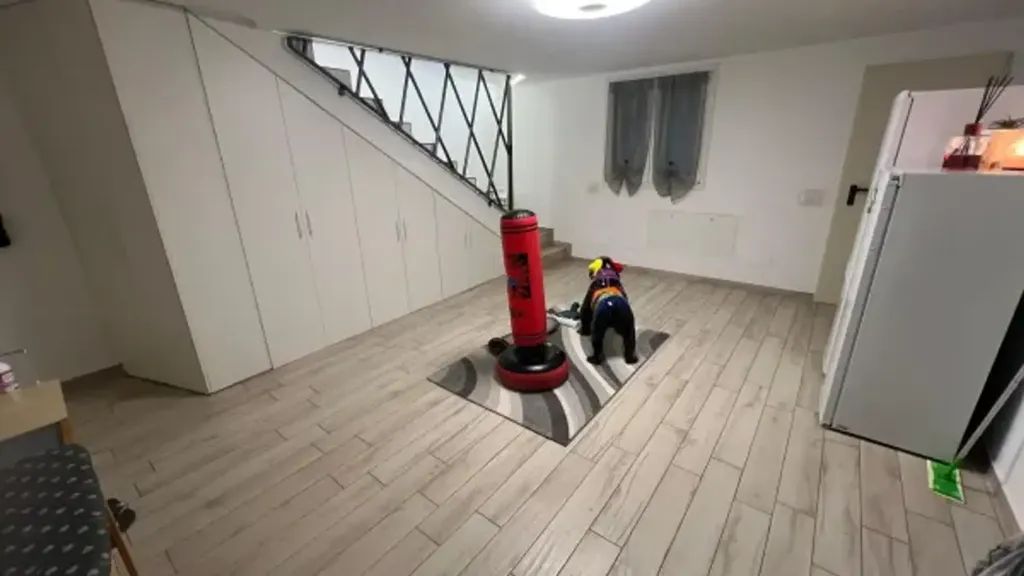 leisure_room