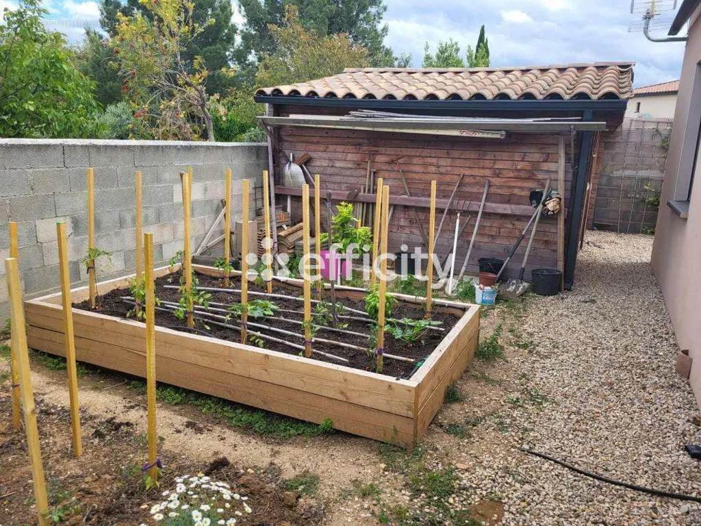 Jardin - Maison Moderne avec Piscine à Aspiran