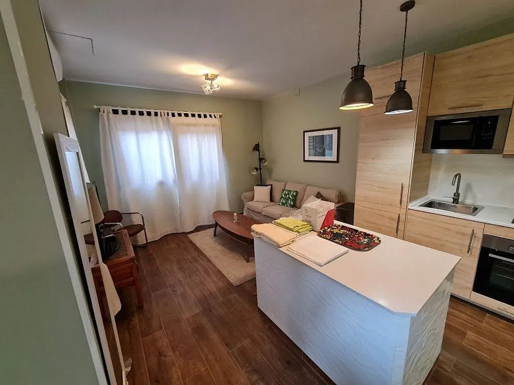 Cuisine - Modernised Studio Flat with Garden in Nueva España