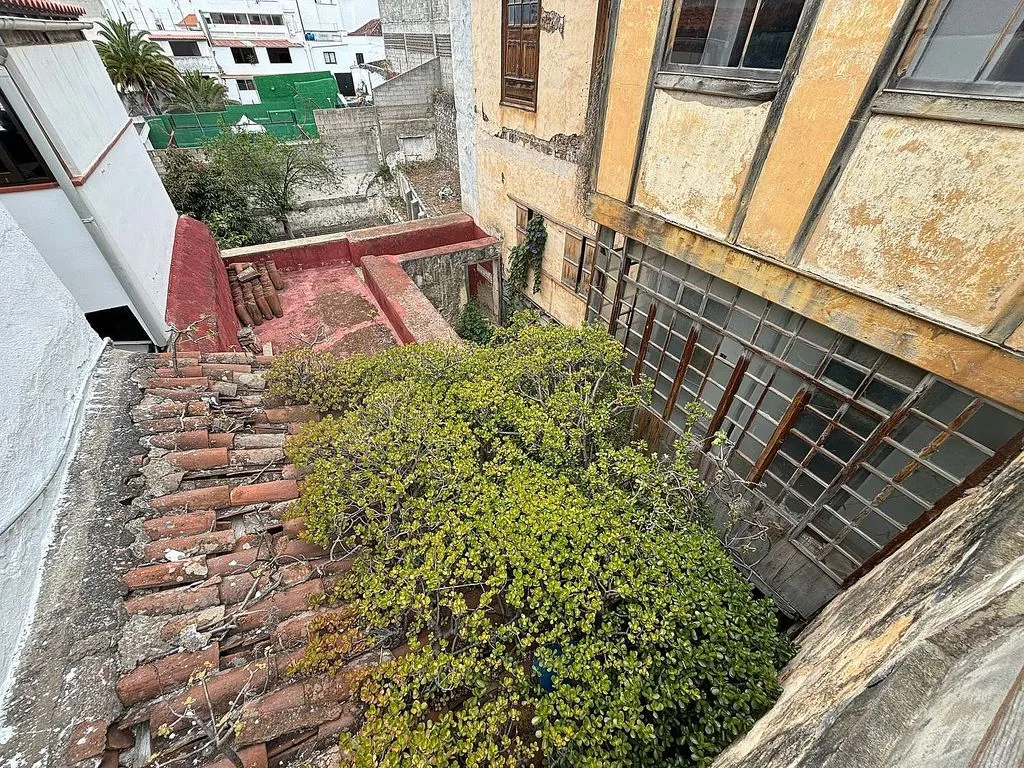 Jardin - Spacious Terraced House in Icod de los Vinos