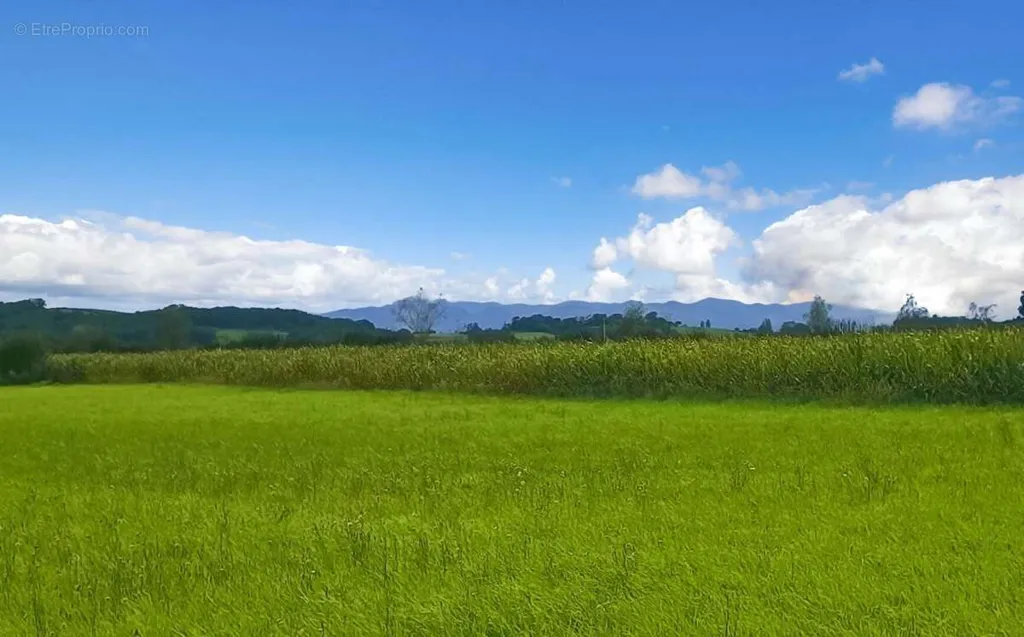 Jardin - Terrain Constructible avec Vue Campagne à Labastide-Villefranche