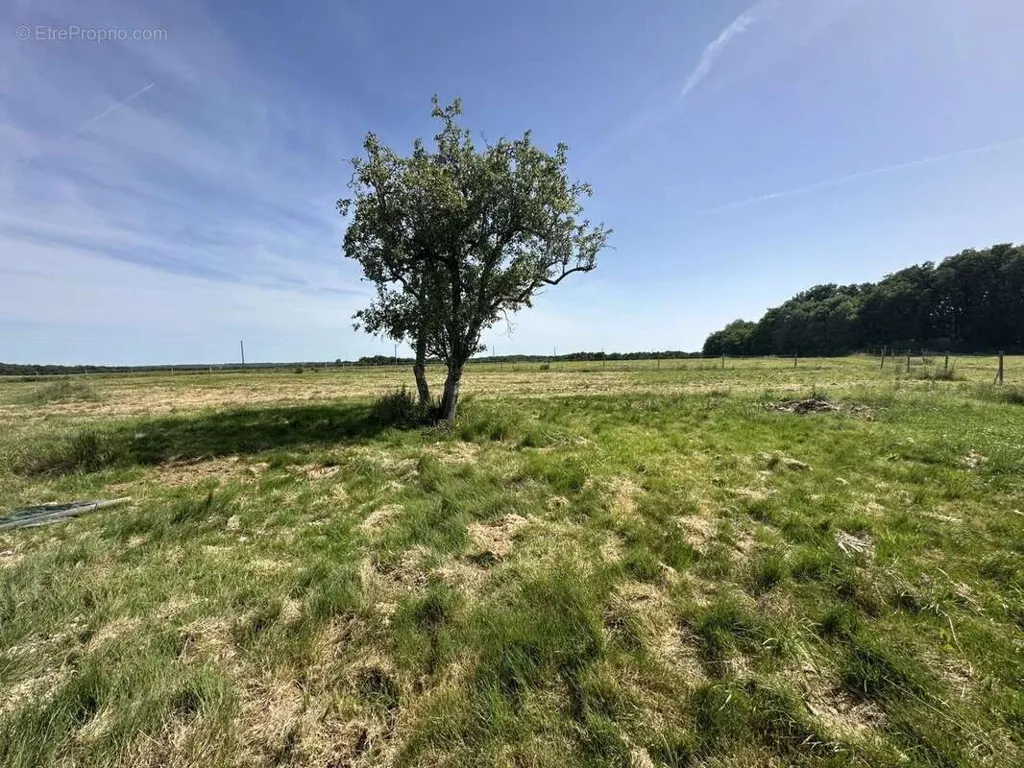 Jardin - Ferme de Caractère avec Terrain à Chauvigny