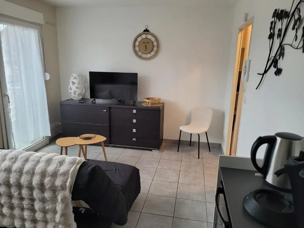 Séjour - Appartement Lumineux Meublé à Amiens