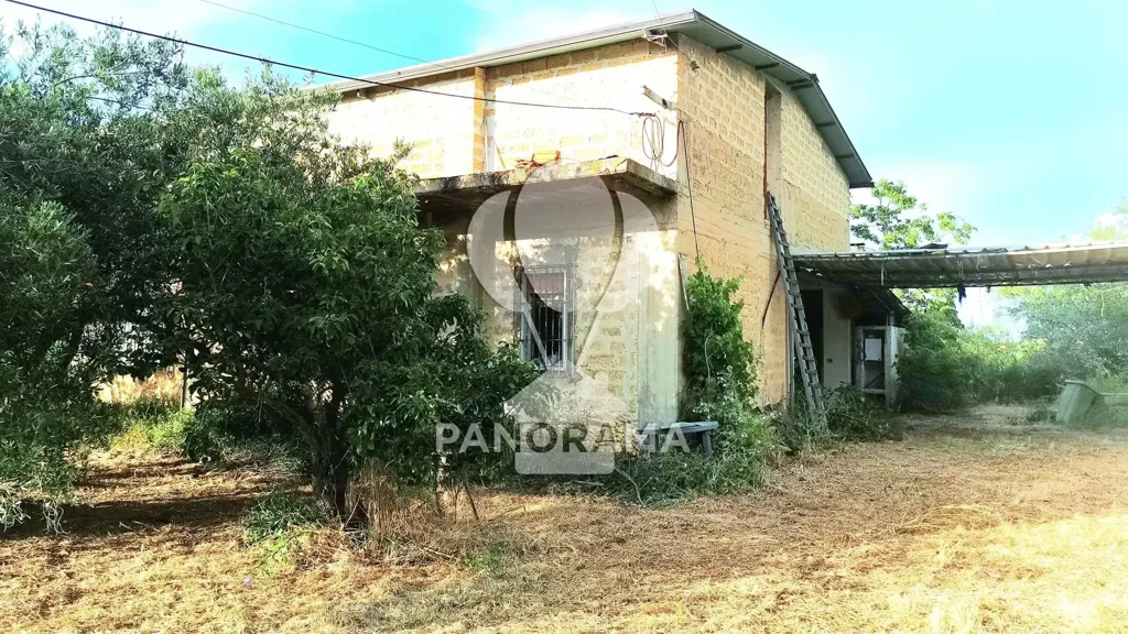 Exterior - Villa with Olive Grove in Partinico