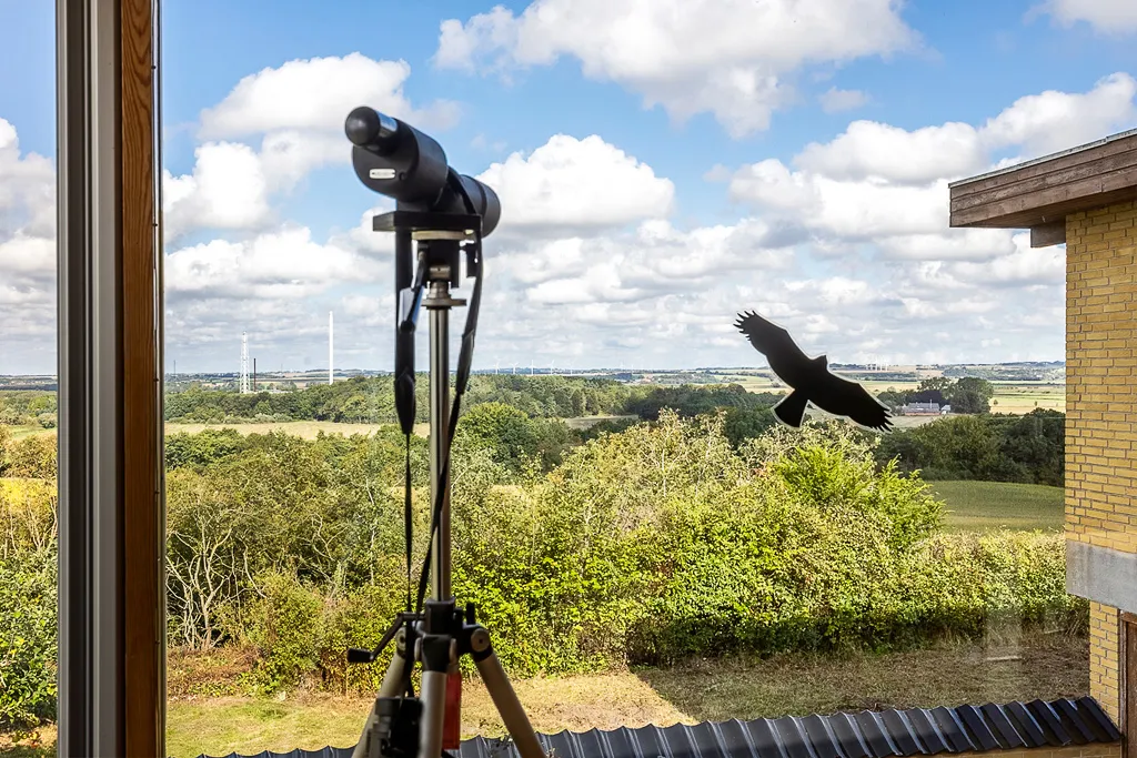 Toad - Villa with Scenic Views in Assentoft