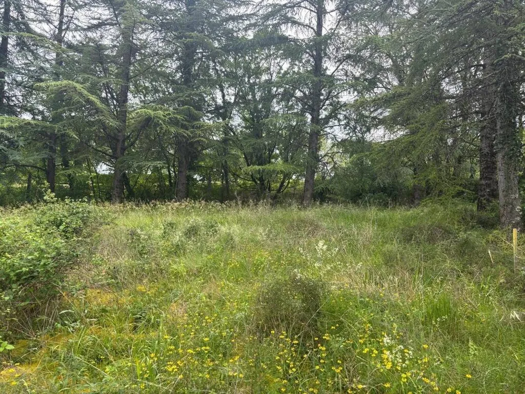 Giardino - Buildable Plot with South-West View in Cahors