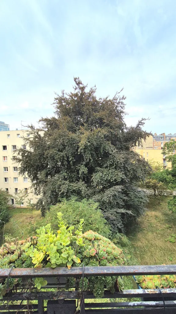 Rõdu - Bright 4-Piece Near Parc Georges Brassens, Paris