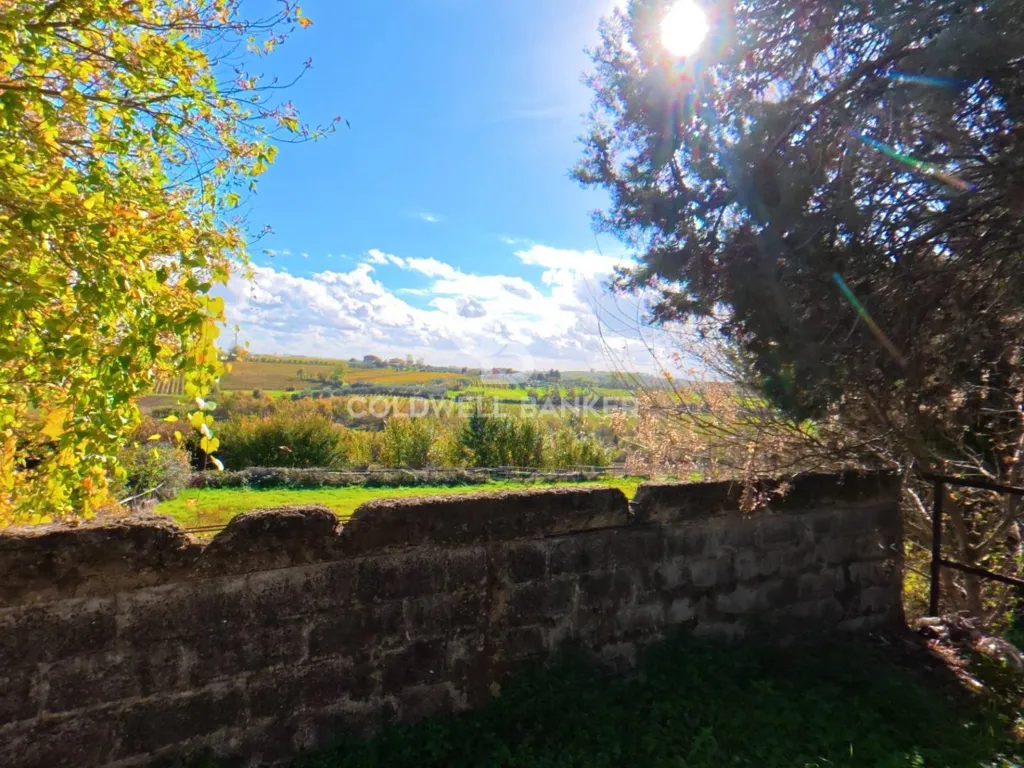 Jardin - Rustic Estate with Lake in Vinci, Tuscany