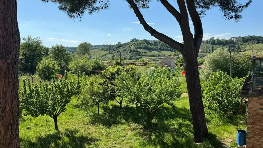 Aed - Apartment with Terrace in Castelfiorentino