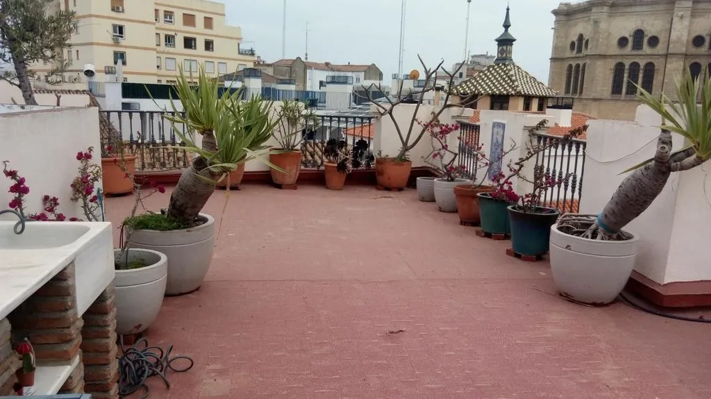 Terrass - Luxury Apartment with Cathedral Views in Málaga