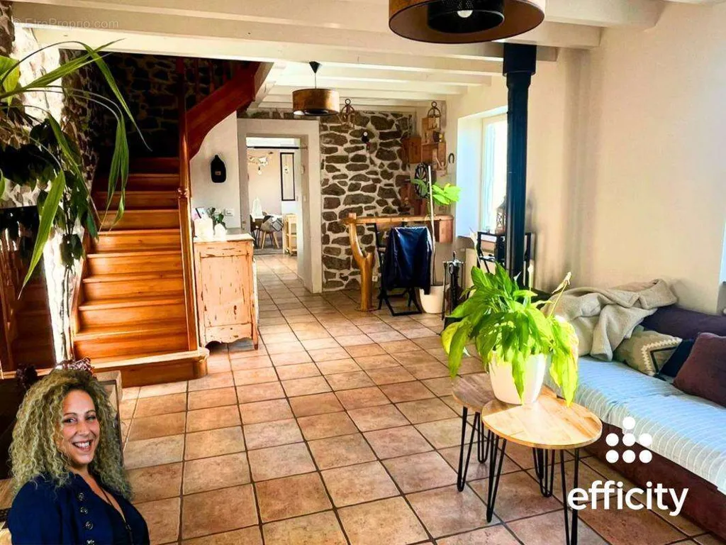 Living Room - Charming House with Loire River Access in Aurec-Sur-Loire