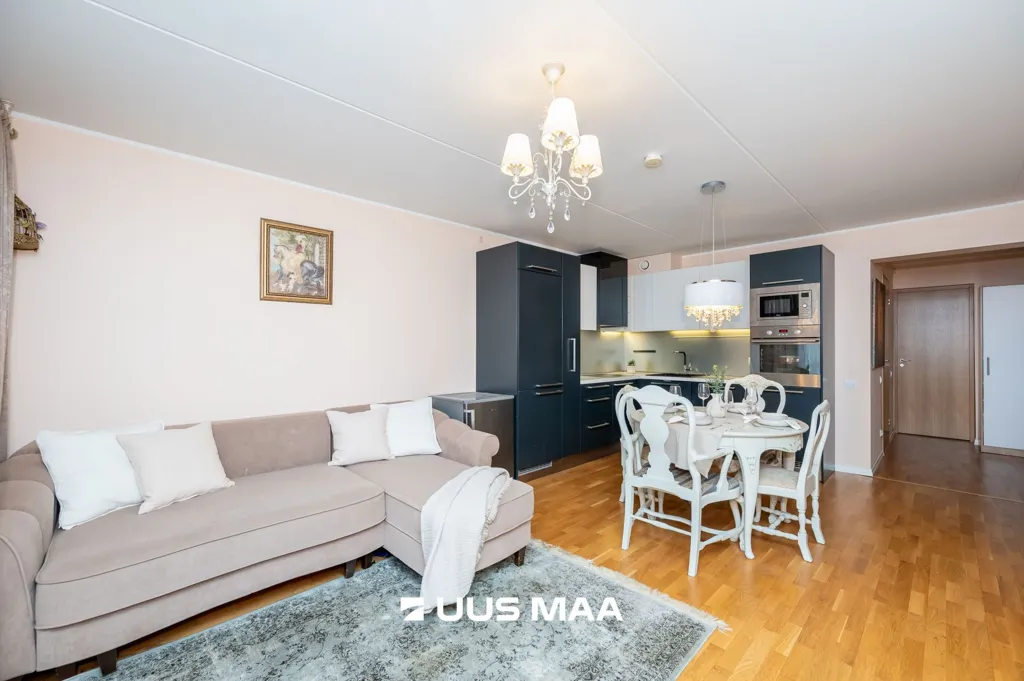 Séjour - Spacious Apartment with Sauna in Kadriorg
