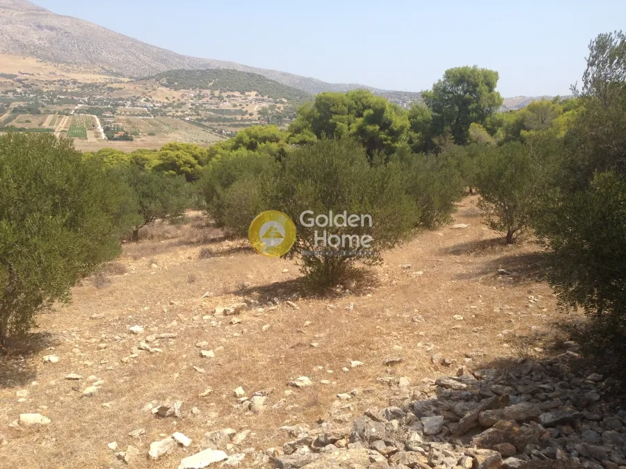 Jardin - Plot with Unrestricted View in Kalivia - Lagonisai