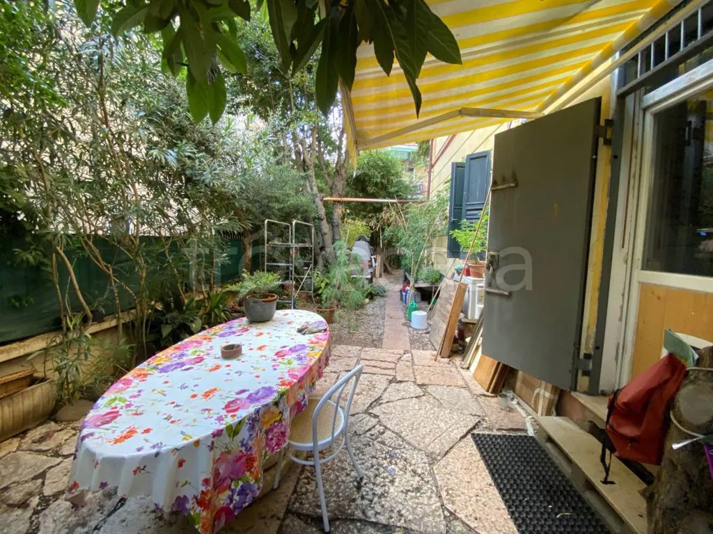 terrace_patio