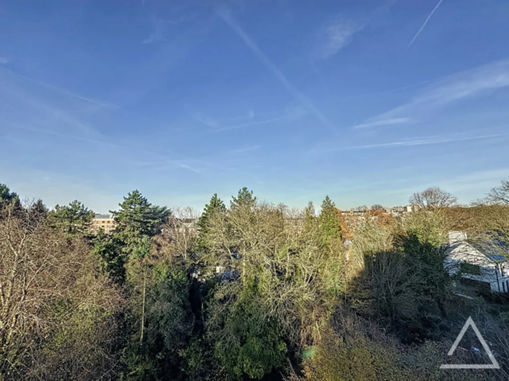 Jardin - Appartement Luxe avec 2 Terrasses au Cœur de la Ville