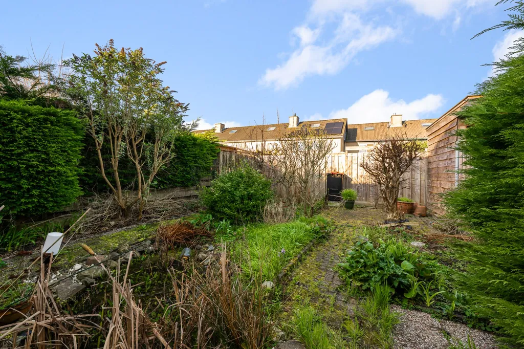 Jardin - Maison 4 pièces à Koog aan de Zaan
